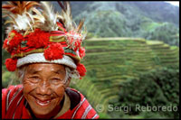 Mujer Ifugao. Terrazas de arroz. Banaue. Norte de Luzón. 